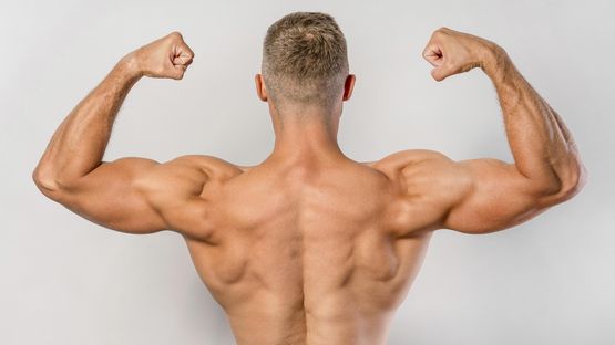 Cabergolin Steroid-Kurs: Anwendung und Vorteile Cabergolin Steroid-Kurs: Anwendung und Vorteile